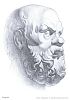 Академический рисунок головы Сократа из методического пособия "Образцы рисунков" (вечерние подготовительные курсы МАрхИ). 