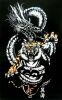 Китайская татуировка тигра и дракона 