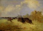 Джордж Кэтлин. Охота индейцев кэддо на бизона в Кросс Тимберс (Техас). 1846-1848