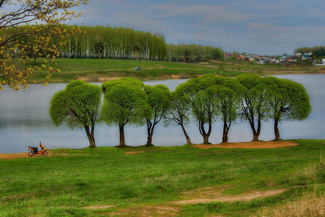 Дичковское озеро. Вид с северного берега