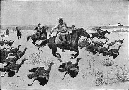 Конная охота на дрофу в Румынии. XIX век 