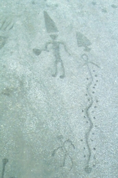   (Peterborough Petroglyphs).    