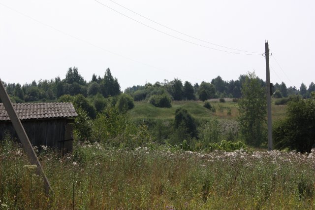 Два кургана в деревне Судбища (Некоузский район Ярославской области).