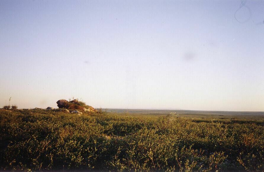 Veiw to the south from the top of Koozkaynt mountain. Photo by Burov-Staskov A.Y.. July 2004