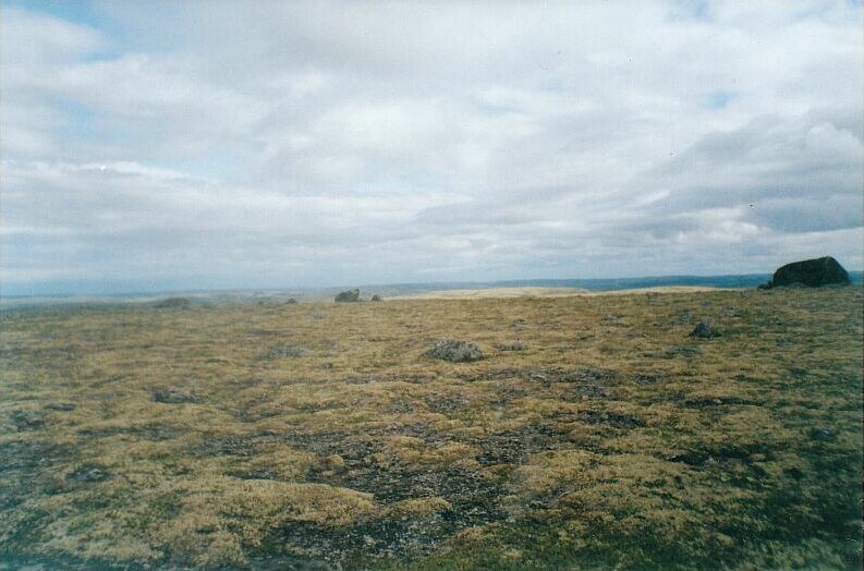 A view to the east from the geodesic sign on the top of Seidpahk mountain. Photo by Burov-Staskov A.Y.. August 2001