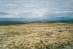 A view to the north-west from the geodesic sign on the top of Seidpahk mountain. Photo by Burov-Staskov A.Y.. August 2001