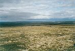 A view to the north-east from the geodesic sign on the top of Seidpahk mountain. Photo by Burov-Staskov A.Y.. August 2001