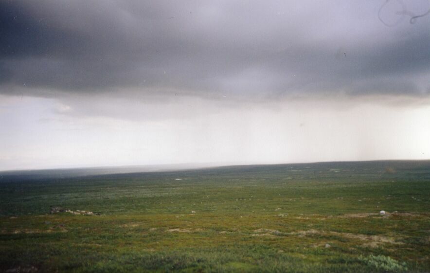        -  -.  2004 