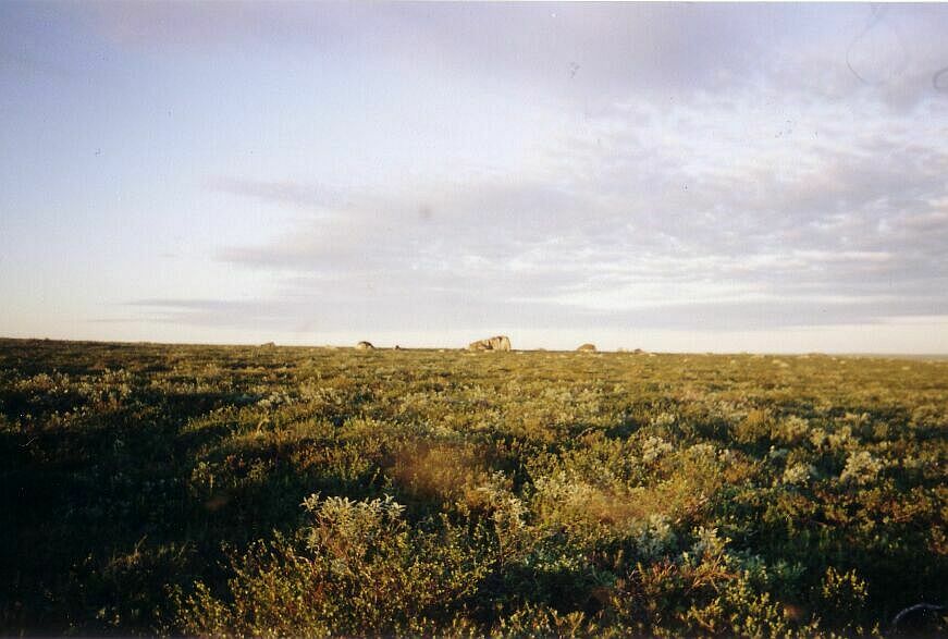        ( 330 ).  - .  2004 