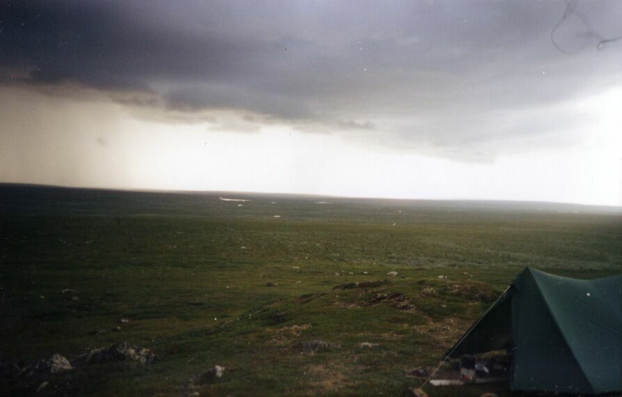        -  -.  2004 